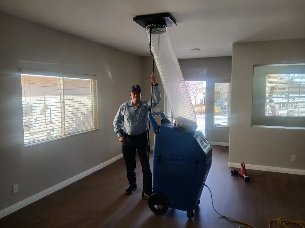 Professional Dryer Vent Cleaning work inside a Amory home